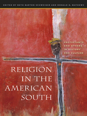 cover image of Religion in the American South